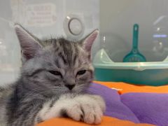 -龟与熊猫宠物公园(南坪店)
