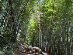 -西湖风景区十里琅珰-五云山