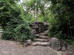 -习家池