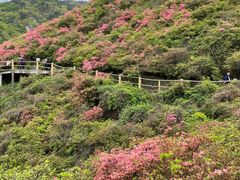 -木兰云雾山
