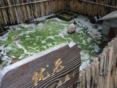 -太极禅苑