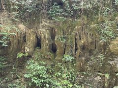 -南江大峡谷