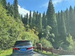 -新疆那拉提国家旅游度假区