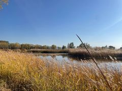 -野鸭湖国家湿地公园