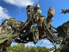 -奥兰多迪士尼动物王国乐园