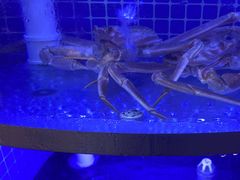-七欣天香辣蟹火锅(淮安璟和名城店)