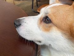 -肥朵食堂(带梦胡同店)