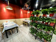 -听涛雅苑百味饺子老家菜馆