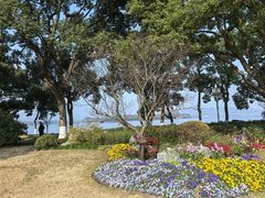 -浙江西子宾馆·瑶园咖啡厅