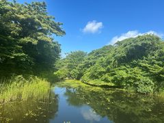 -济州森林小火车生态公园