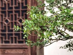 -惠山古镇·寄畅园