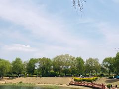 -丁香湖公园