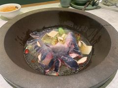 -鲜潭蒸汽石锅鱼(五道口购物中心店)
