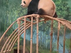 -杭州动物园