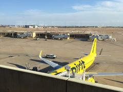 -达拉斯 沃斯堡国际机场