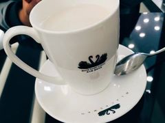 -BLACKSWAN黑天鹅(环球店)