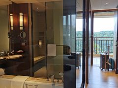 -西双版纳融创皇冠假日度假酒店