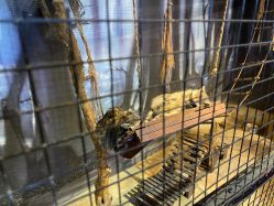 -酷嗒动物文化乐园(cutezoo西溪乐天城店)