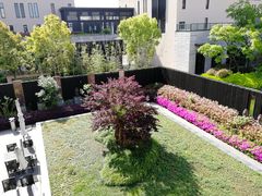 -上海崇明金茂凯悦酒店