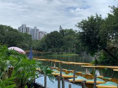 -晓港公园