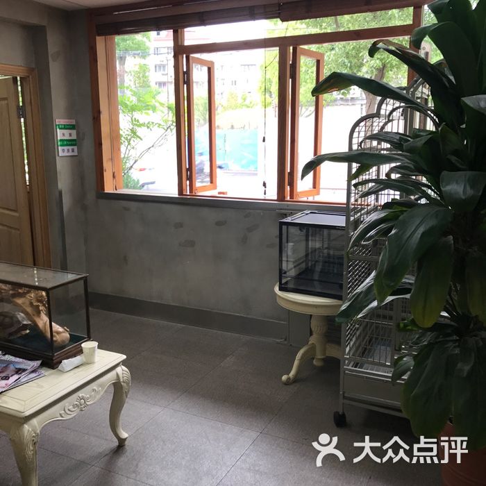 希尔斯动物医院图片-北京宠物医院-大众点评网