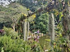 -深圳仙湖植物园