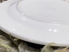 -春华海鲜城(广场西苑店)