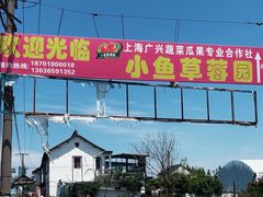 -小鱼草莓采摘园农家乐·小鱼餐厅