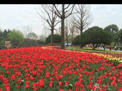-南翔镇银翔湖公园