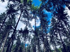 -硗碛藏寨·神木垒景区