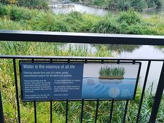 -墨尔本皇家植物园