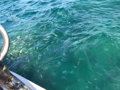 -亚龙湾海底世界