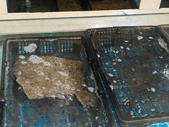 -东湖食堂·湖景餐厅•会议