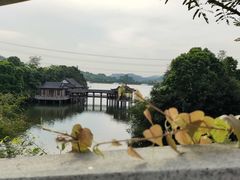 -水濂山森林公园