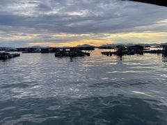 -玫瑰海岸文化旅游度假区