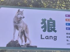 -合肥野生动物园