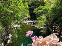 -少华山国家森林公园