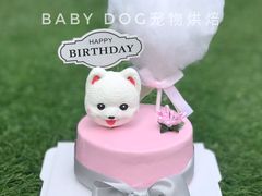宠物蛋糕-BABYDOG宝贝狗宠物乐园(欧洲城店)