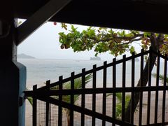 -Scarborough Fish & Chips- Tanjung Rhu