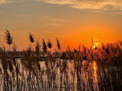 -野鸭湖国家湿地公园