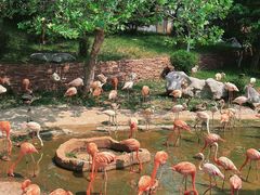 -大连森林动物园