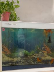 -美呈轻医美·无创抗衰中心