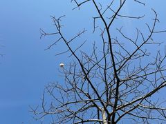 -风云岭森林公园