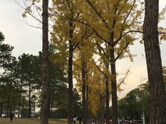 -美兰湖景区