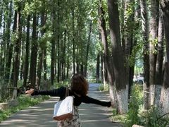 -林间山庄