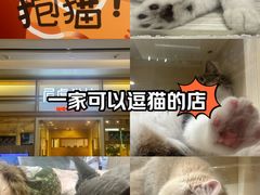 -屋虎猫馆(宝安大仟里店)
