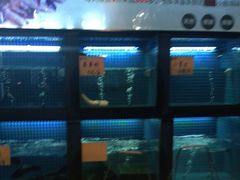 水产区-南山饭店(阳明古镇店)