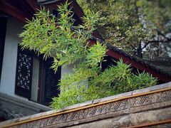 -成都市文殊院