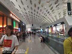 -陈鹏鹏潮汕菜(宝安机场T3航站楼店)