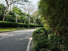 -仙岳公园